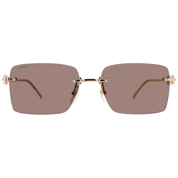 NEW CARTIER SUNGLASSES, CARTIER CT0545S 003